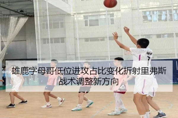 雄鹿字母哥低位进攻占比变化折射里弗斯战术调整新方向